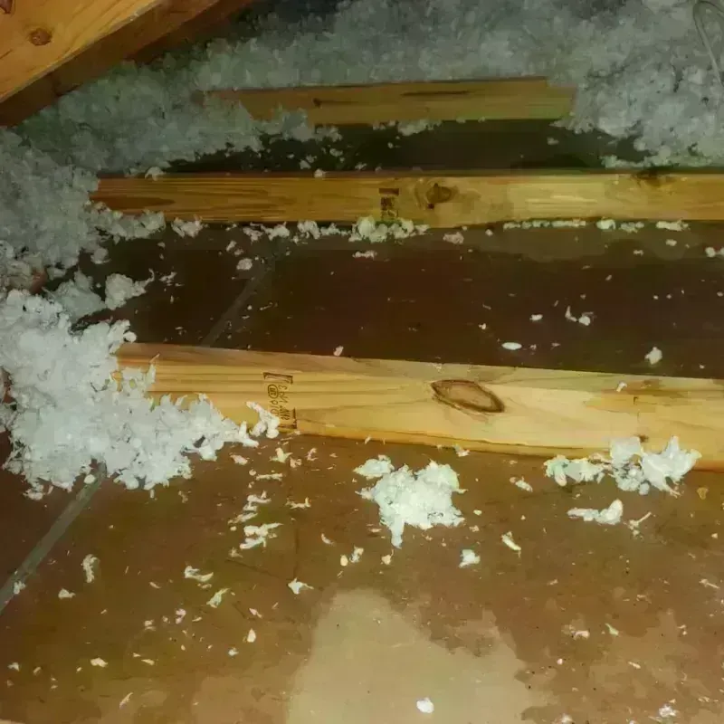 Attic Water Damage in Bynum, AL